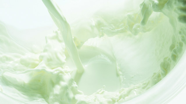 Elaborazione grafica