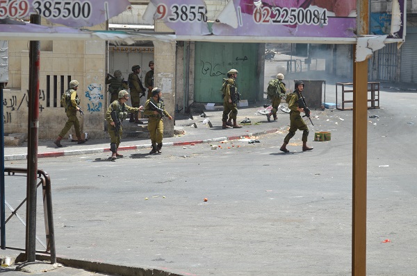 courtesy Sheren Khalel