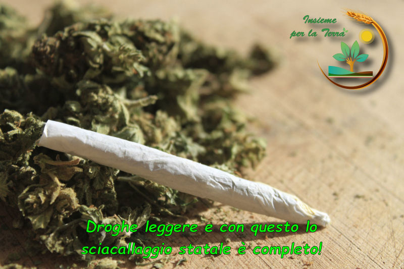 DrogheLeggere.jpg