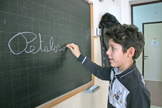 Petaloso - Il caso linguistico del 2016