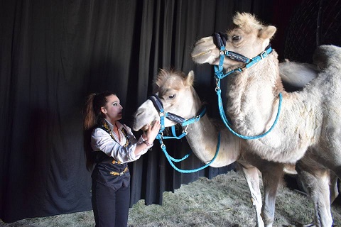 foto di Leonardo Valle