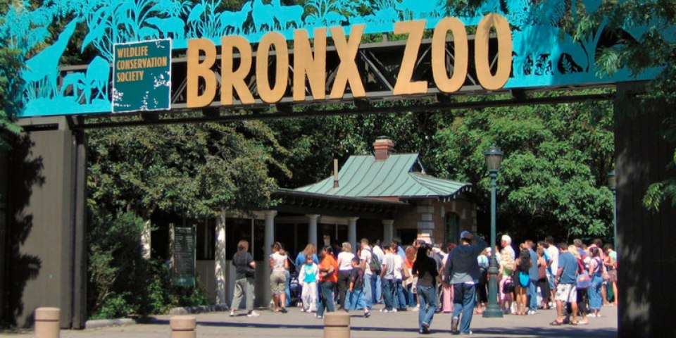 zoo-bronx.jpg