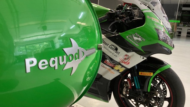 Pequod-Kawasaki-708191-950d82.jpeg