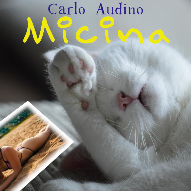 Carlo_Audino__Micina__800.jpg