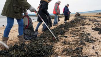 Beach-Care-Project--Regno-Unito-5.jpg