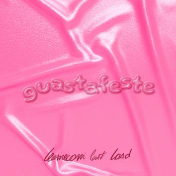 leomeconi_guastafeste-cover.jpg