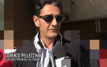 pellecchia.jpg