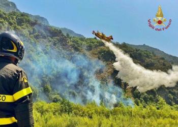 incendi-boschivi-vigili-del-fuoco.jpg