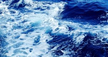 MARE.jpg